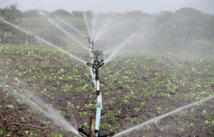 Best Irrigation System for Vegetable Garden