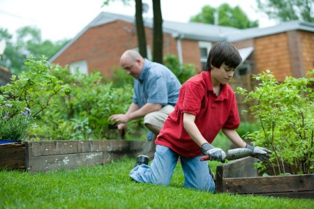 best natural fertilizer for vegetable garden