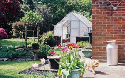 Vegetable Garden Enclosure Ideas