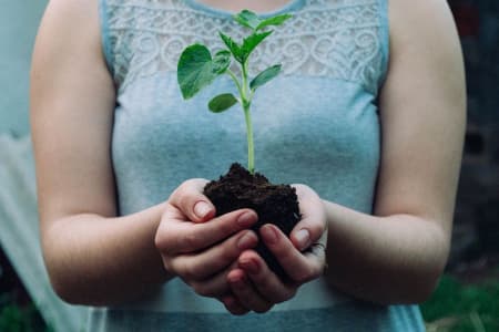 how to make the best vegetable garden soil