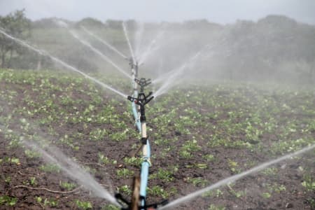 vegetable watering kit