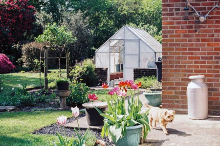fully enclosed vegetable garden