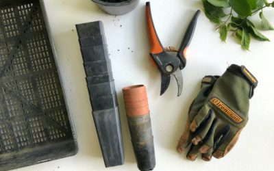 24 Must Have Vegetable Gardening Tools for At-Home Gardeners