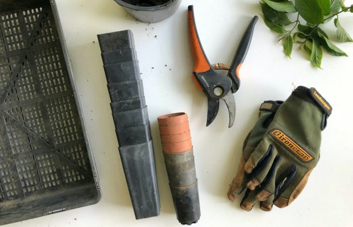 24 Must Have Vegetable Gardening Tools for At-Home Gardeners