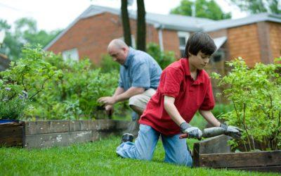 Best Vegetable Garden Fertilizer