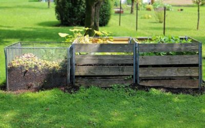 Best Type of Outdoor Compost Bin to Buy for Your Garden