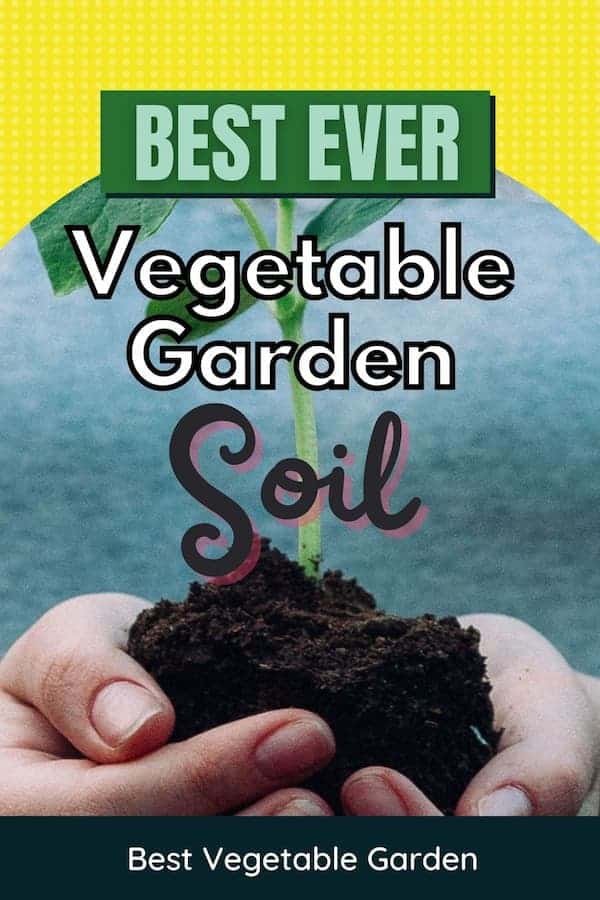 best soil for growing vegetables