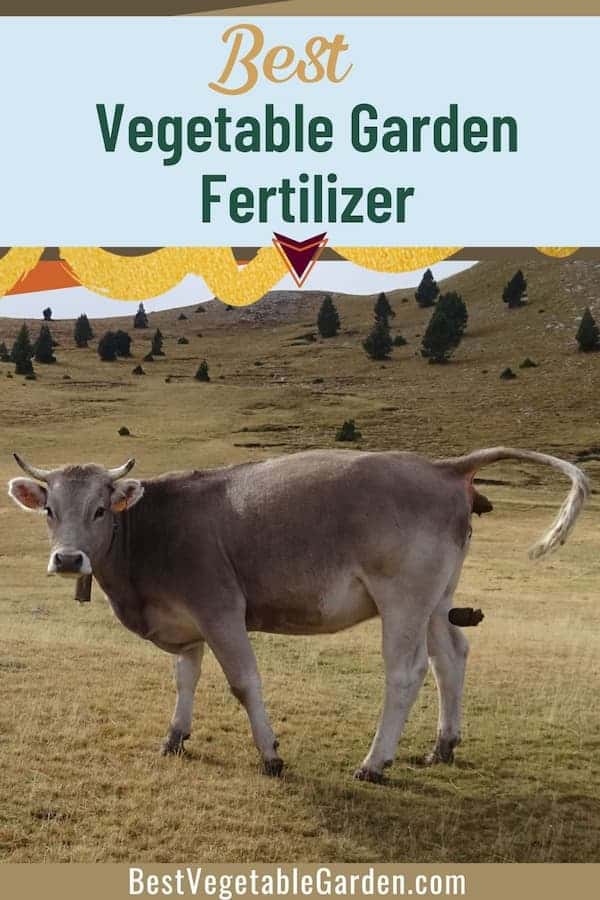 best fertilizer for vegetables