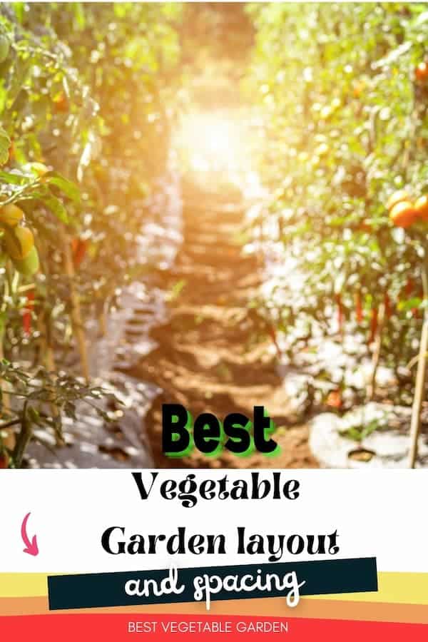 layouts for vegetable gardens