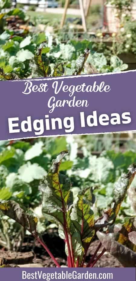 vegetable garden edging products