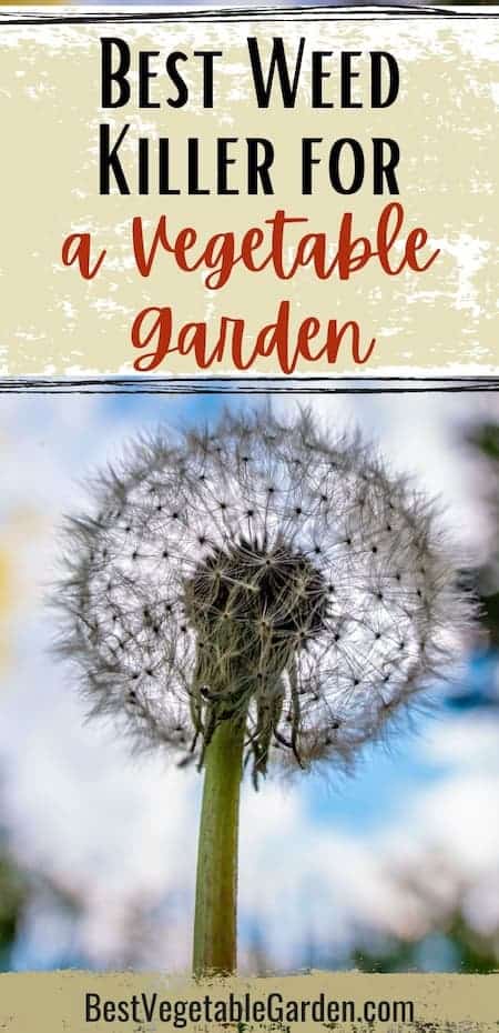 how to get rid of weeds in vegetable garden